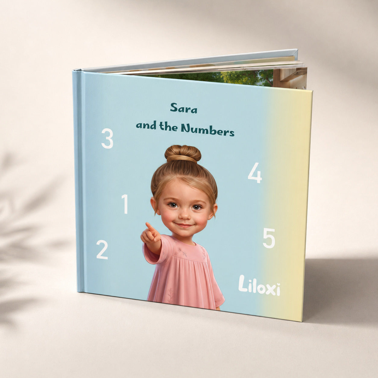 Girl and the Numbers