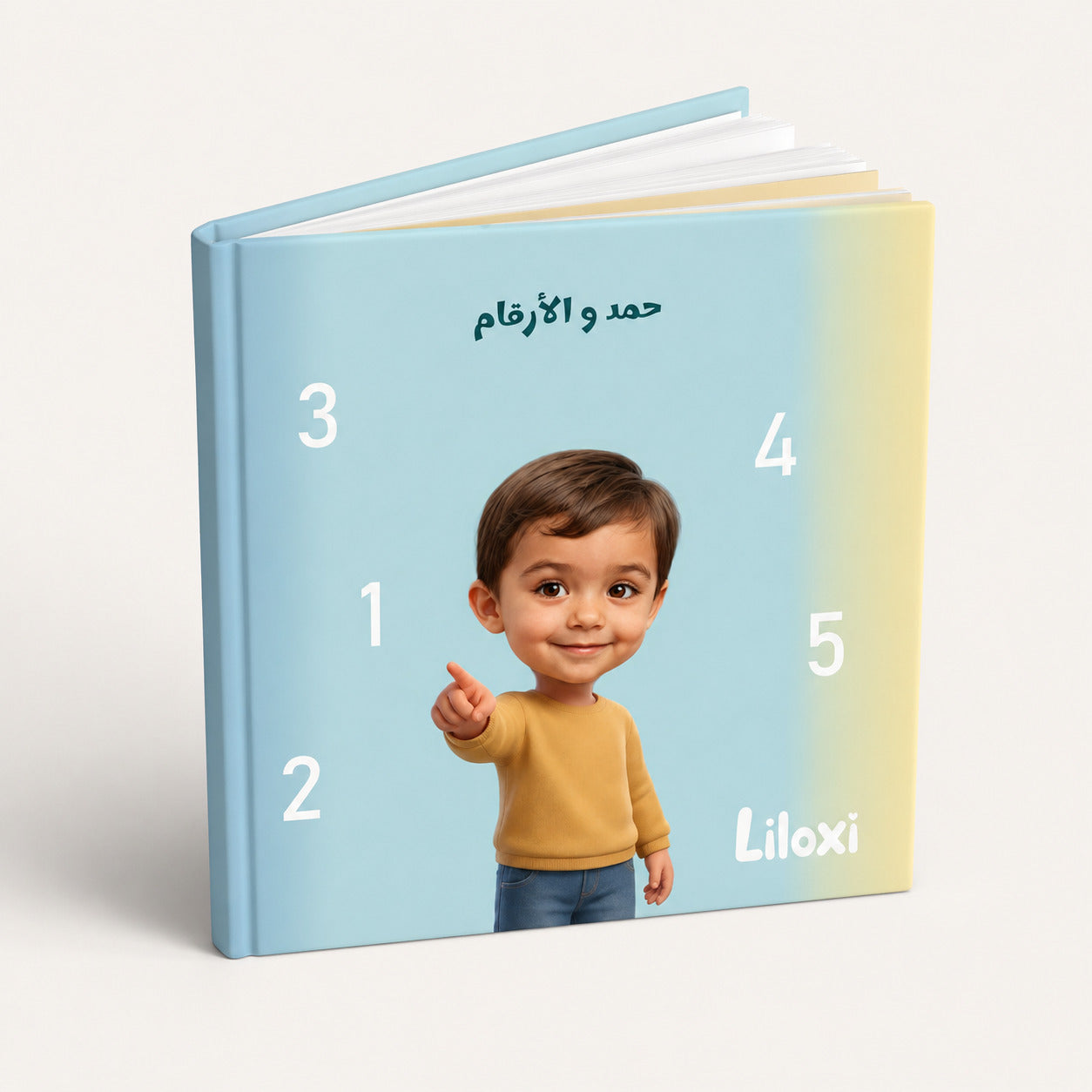 Boy and the Numbers